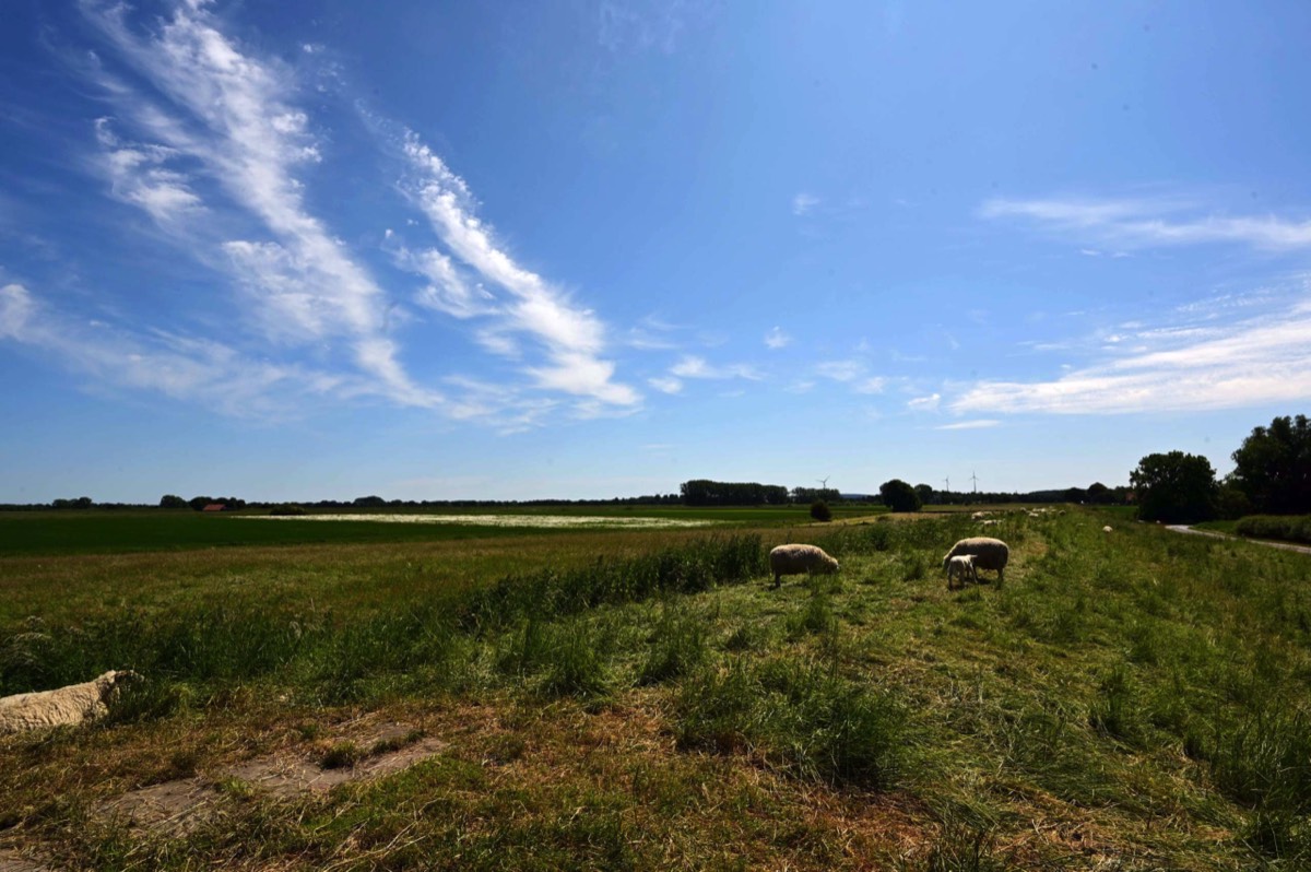 Stacks Image 840